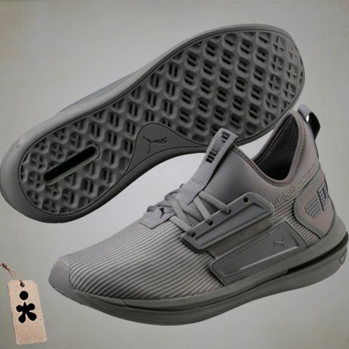 H_pumaignite_03